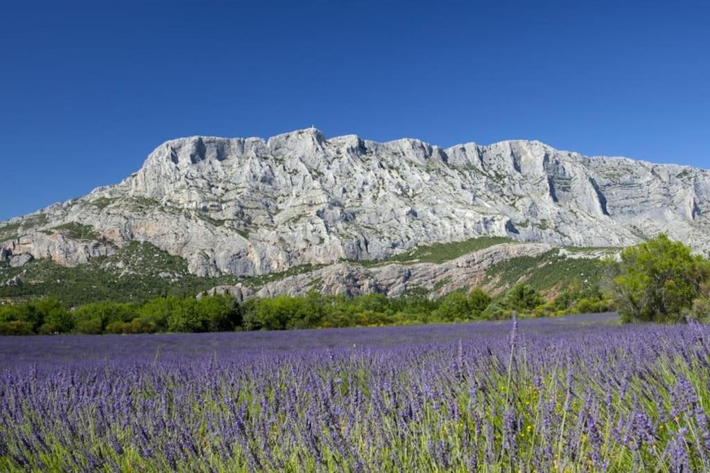Appartamento Le Petit Charrier Aix-en-Provence Esterno foto